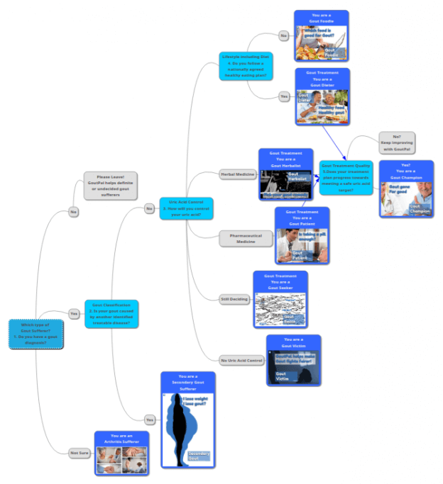Which Type of Gout Sufferer image