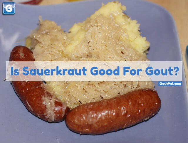 Is Sauerkraut Good For Gout photo